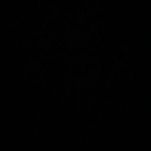 Meet your Posher, Linn